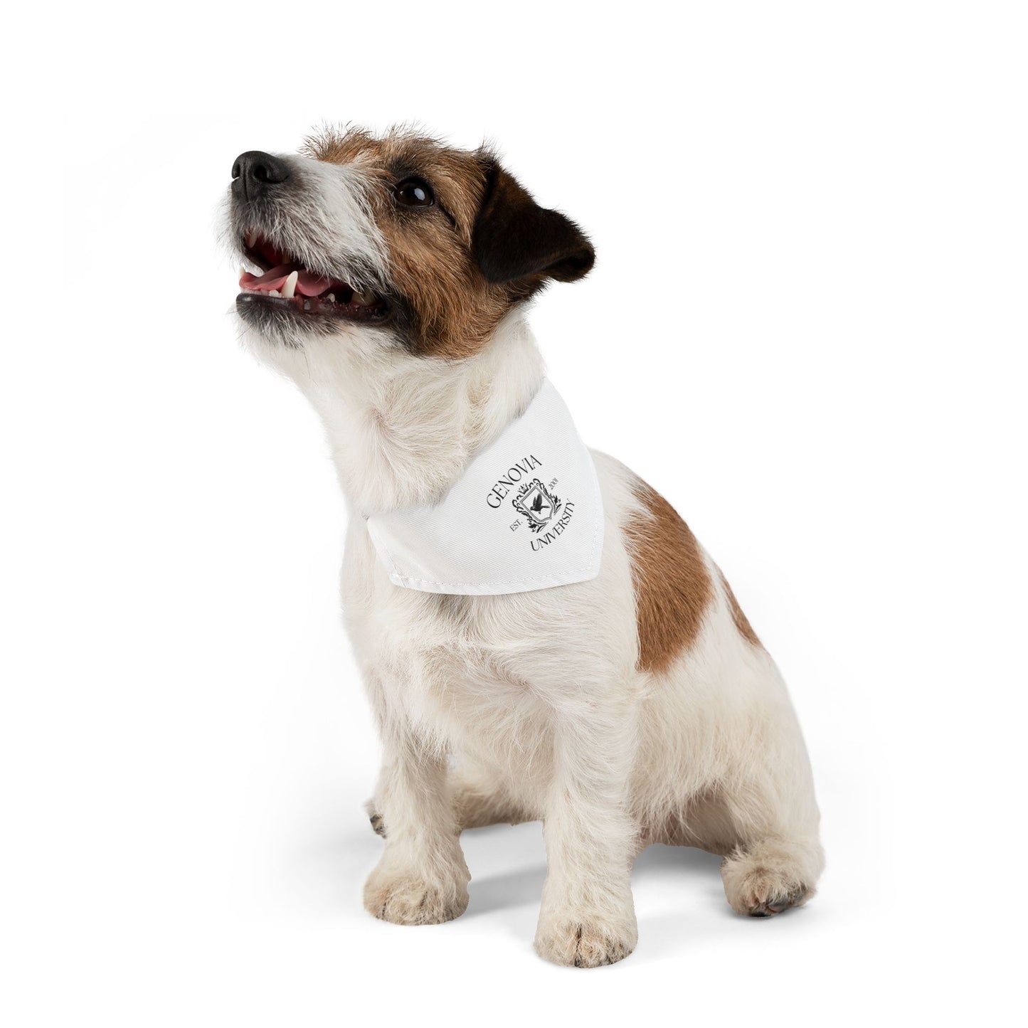 Genovia University Pet Bandana Collar