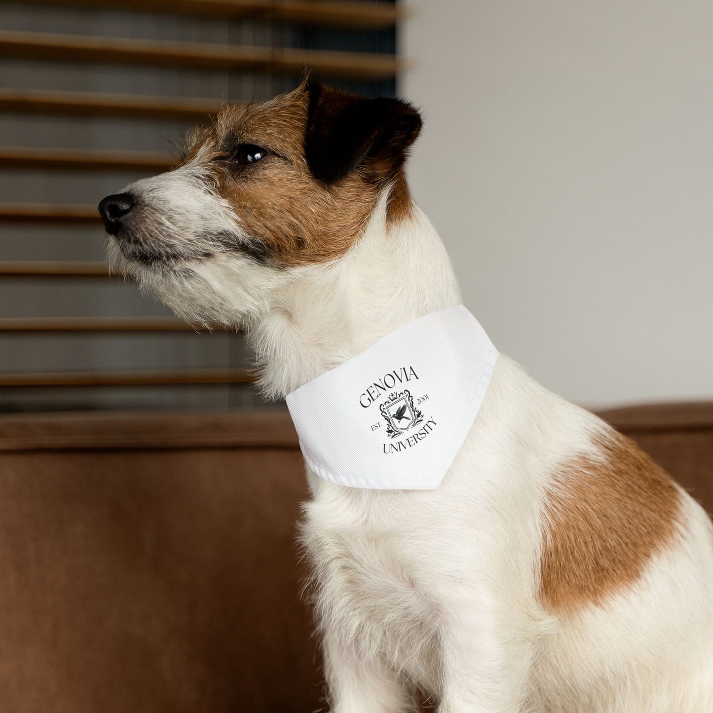 Genovia University Pet Bandana Collar