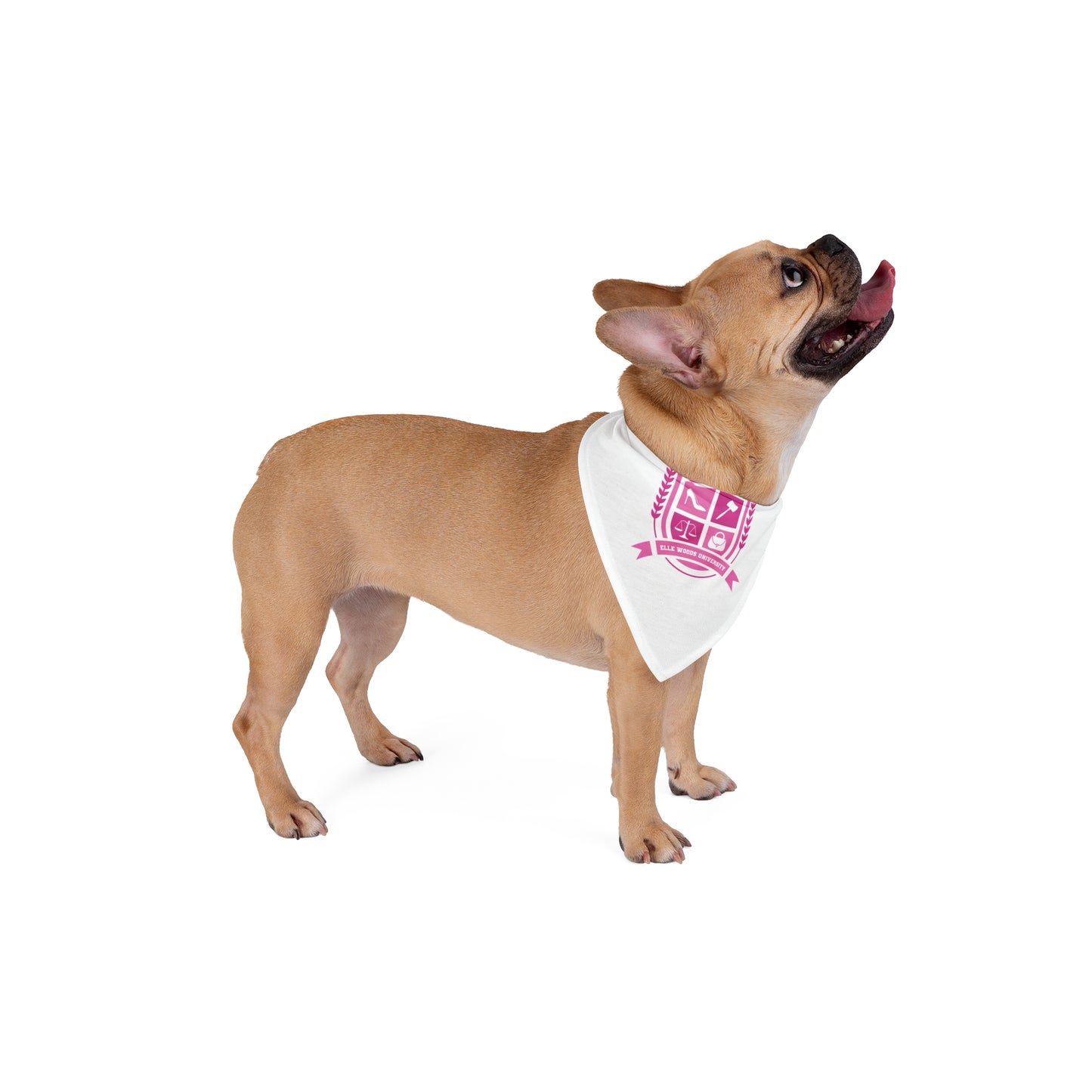 Elle Woods University Pet Bandana